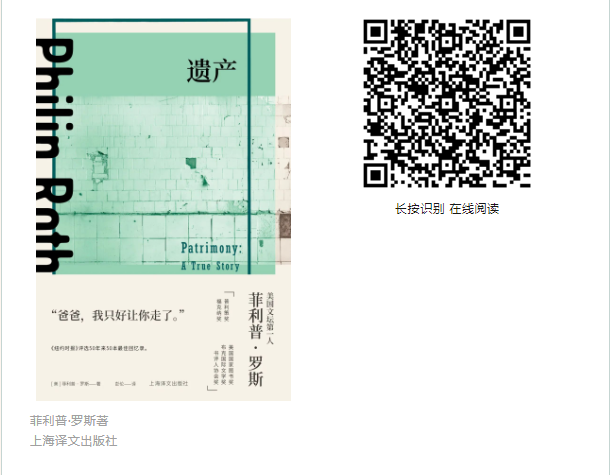 image image.png?v=1763590189809