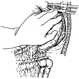 pagenumber_ebook=508,pagenumber_book=493