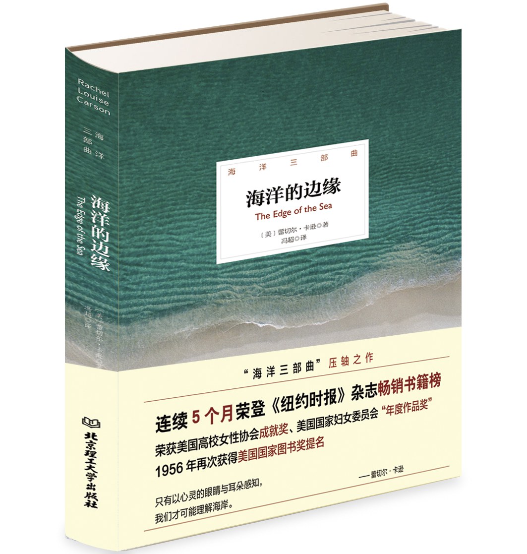 海洋的边缘 海洋的边缘.jpg?v=1761498772684