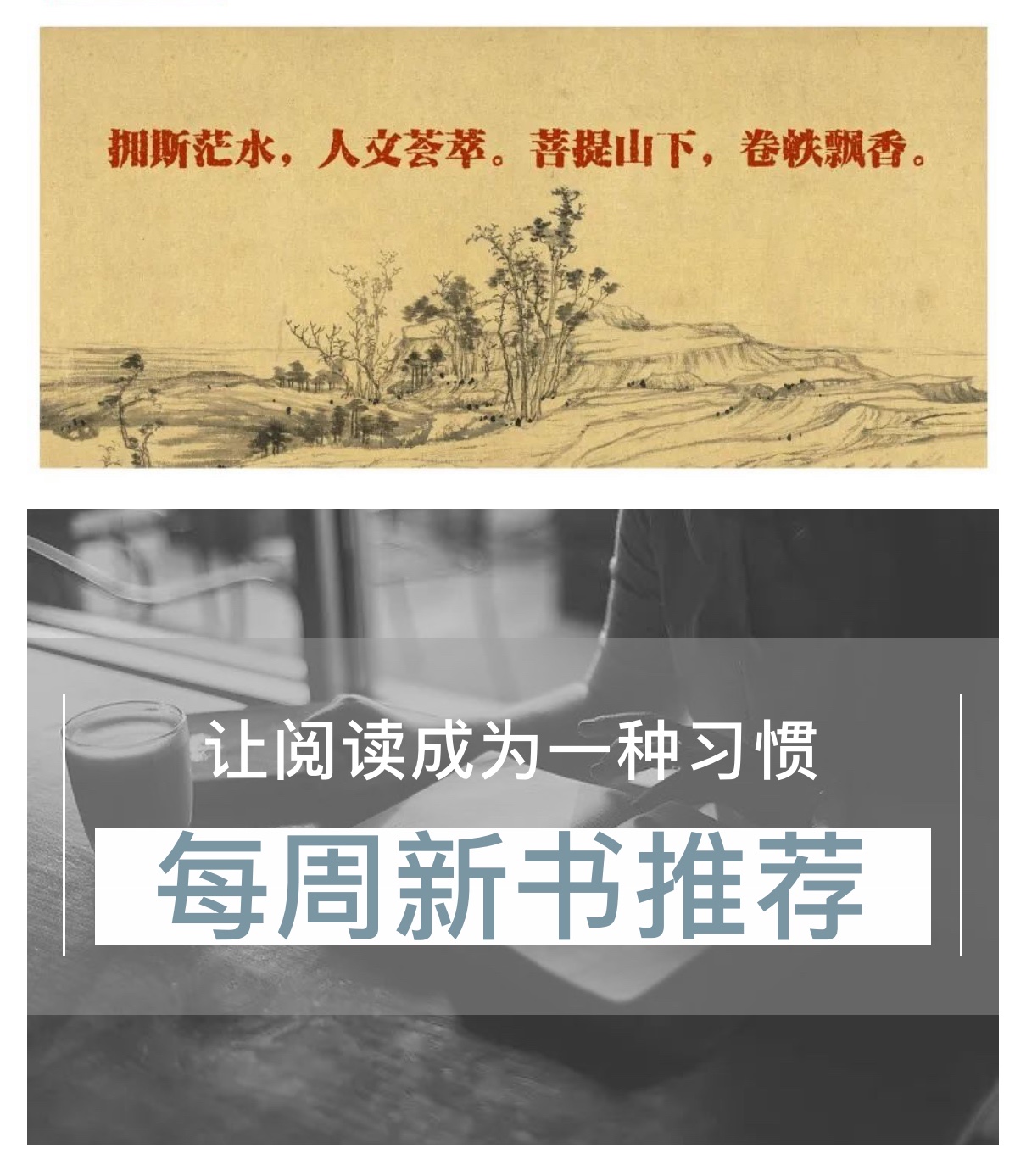 IMG_0307(20210107-093153) IMG_0307(20210107-093153).jpg?v=1764469016669