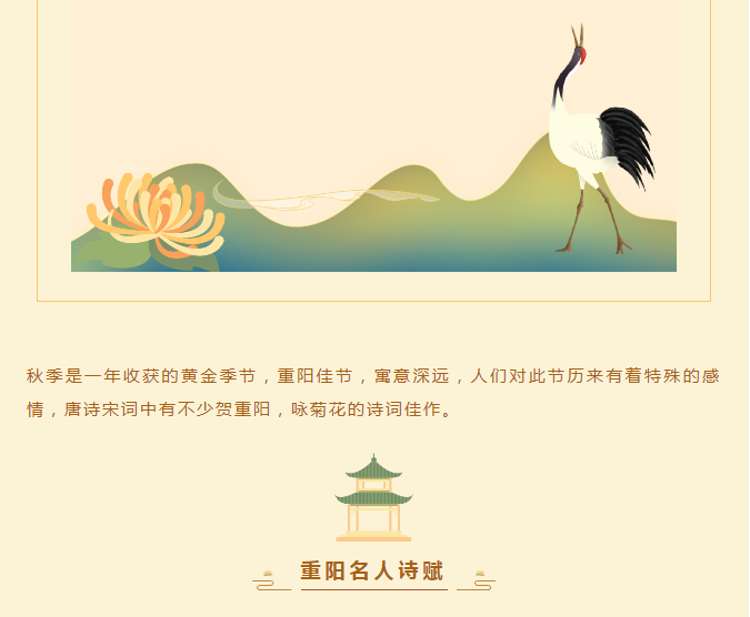 image.png?v=1750229713259