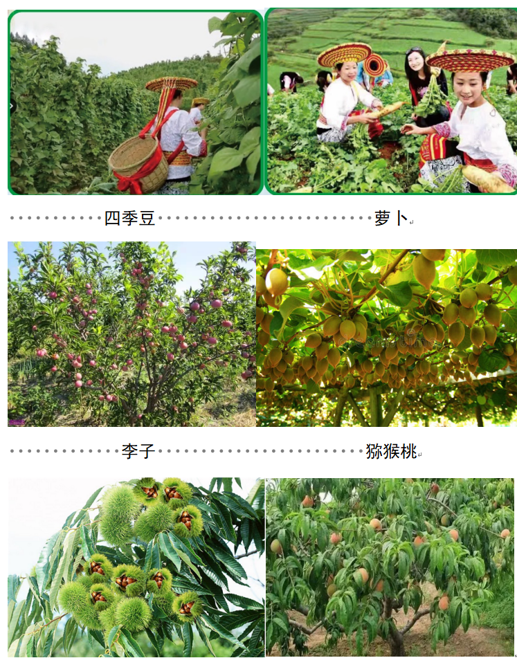 1732260155284 1732260155284.png