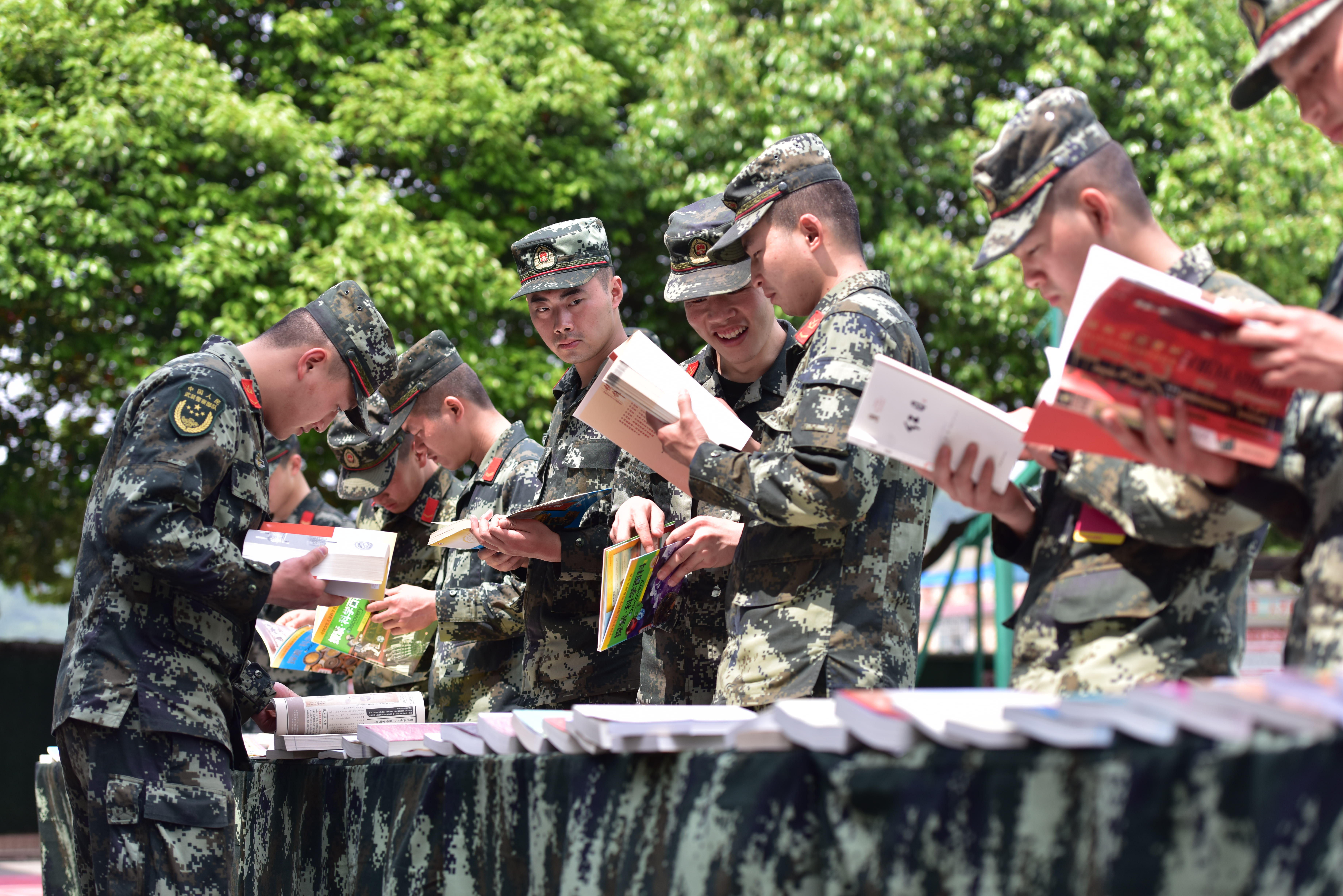 DSC_7913 DSC_7913.jpg?v=1762711715683