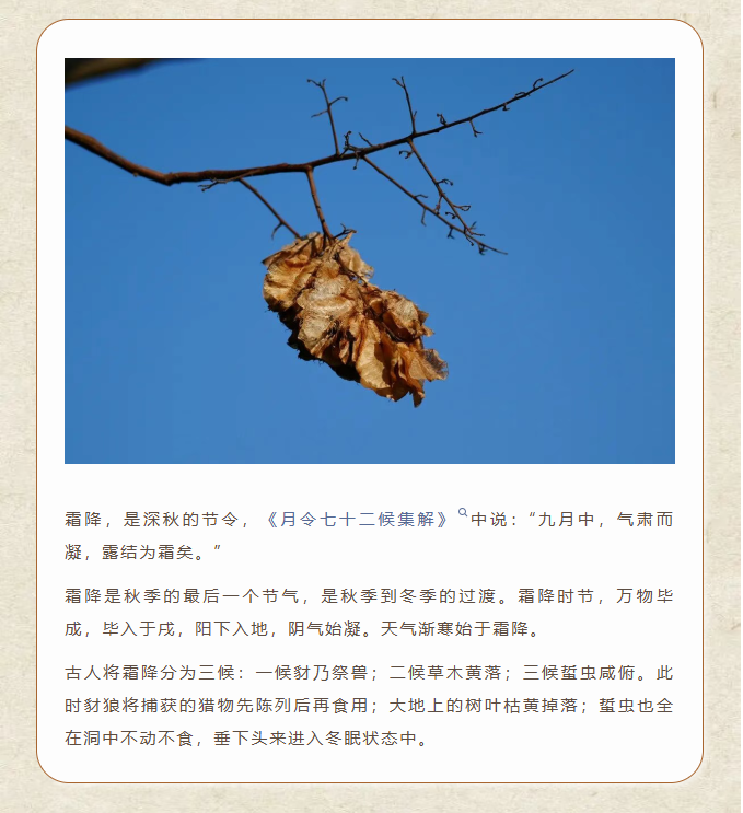 image.png?v=1762073929220