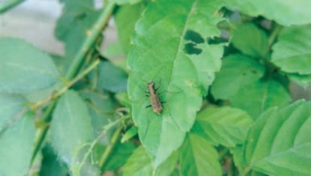 pagenumber_ebook=180,pagenumber_book=172