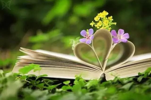 34c20998829ebf5303c0069579405610 34c20998829ebf5303c0069579405610.jpg