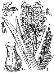 pagenumber_ebook=220,pagenumber_book=220