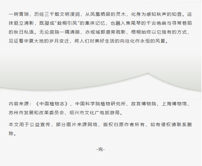 image.png?v=1766278521081