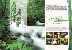 pagenumber_ebook=205,pagenumber_book=197