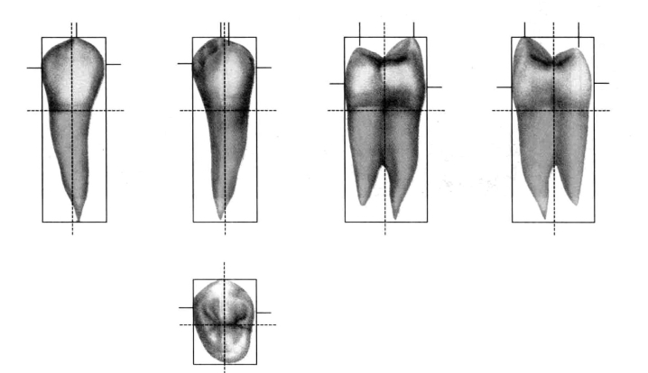 pagenumber_ebook=202,pagenumber_book=193