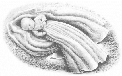 pagenumber_ebook=312,pagenumber_book=306