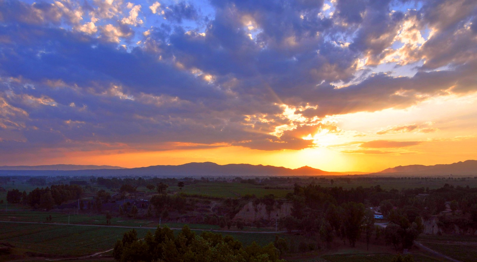 《东方日出万物苏1》王秀英摄影,拍摄于2015年6月东光村.联系电话:15503542786