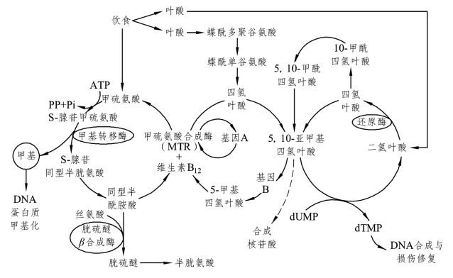 pagenumber_ebook=49,pagenumber_book=42
