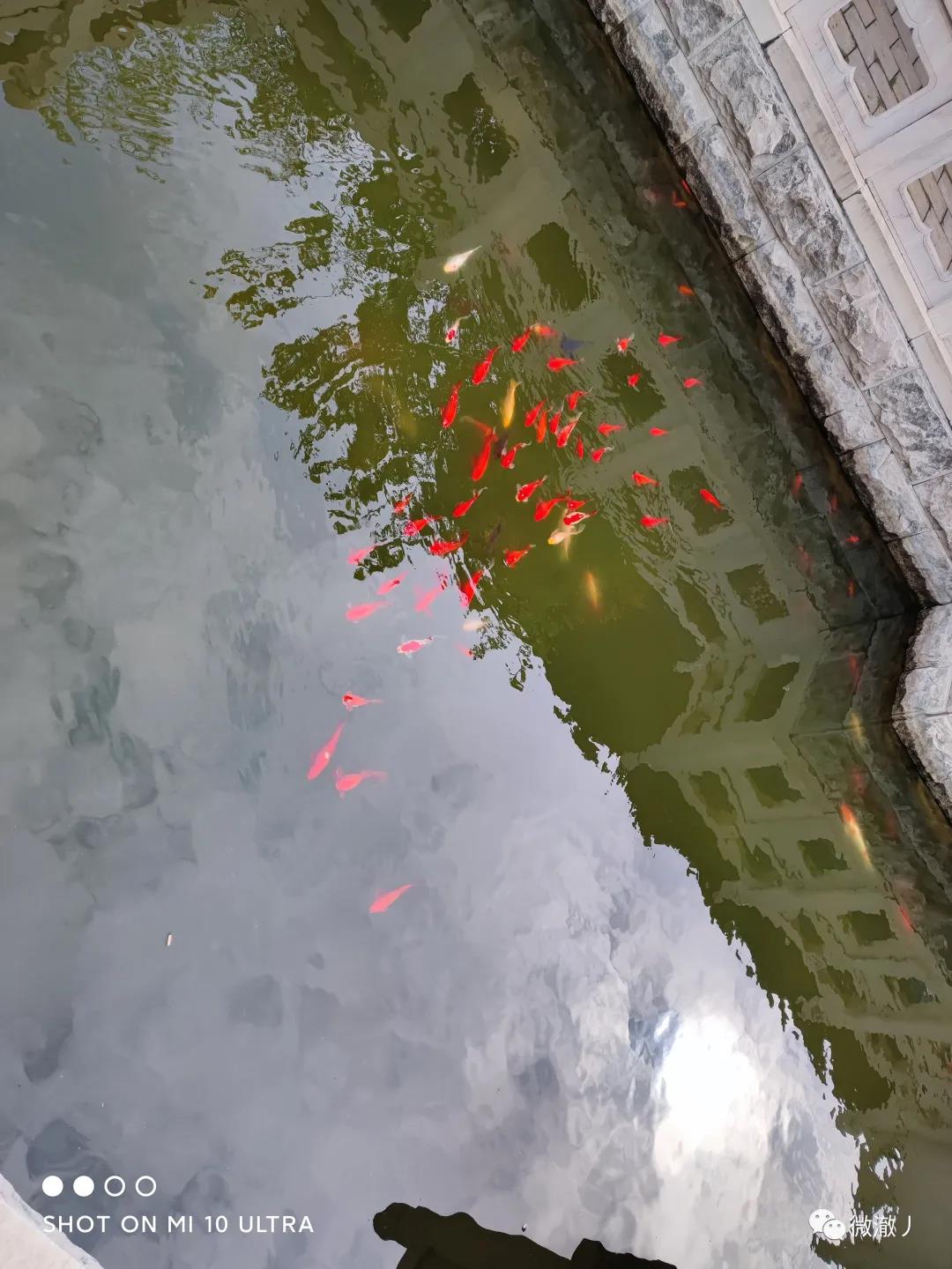 微信图片_20210406105845