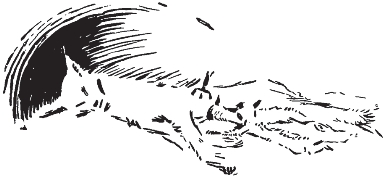 pagenumber_ebook=184,pagenumber_book=176