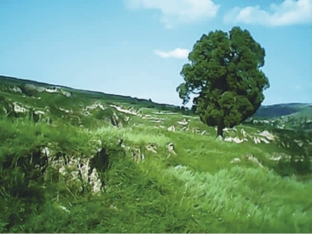 pagenumber_ebook=80,pagenumber_book=70