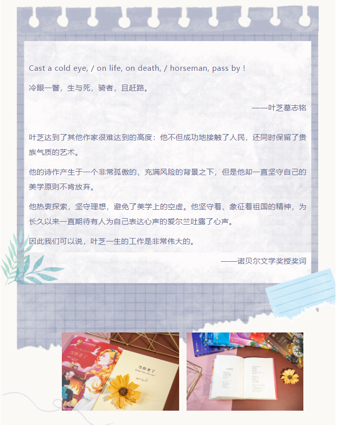 image.png?v=1751770127604