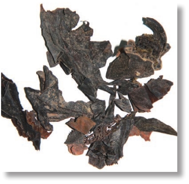 pagenumber_ebook=214,pagenumber_book=201