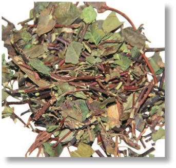 pagenumber_ebook=101,pagenumber_book=88