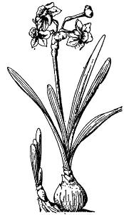 pagenumber_ebook=222,pagenumber_book=222