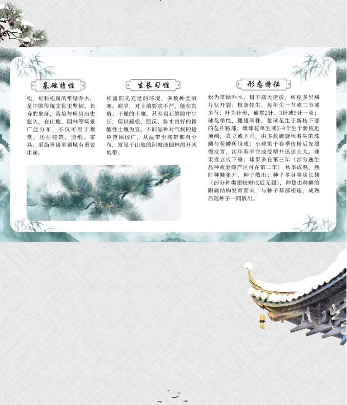 image.png?v=1762099906174