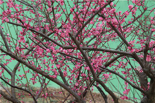 IMG_5786 IMG_5786.jpg