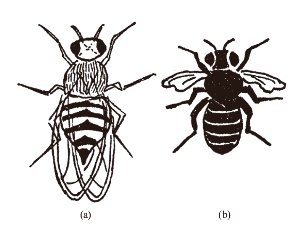 pagenumber_ebook=256,pagenumber_book=252
