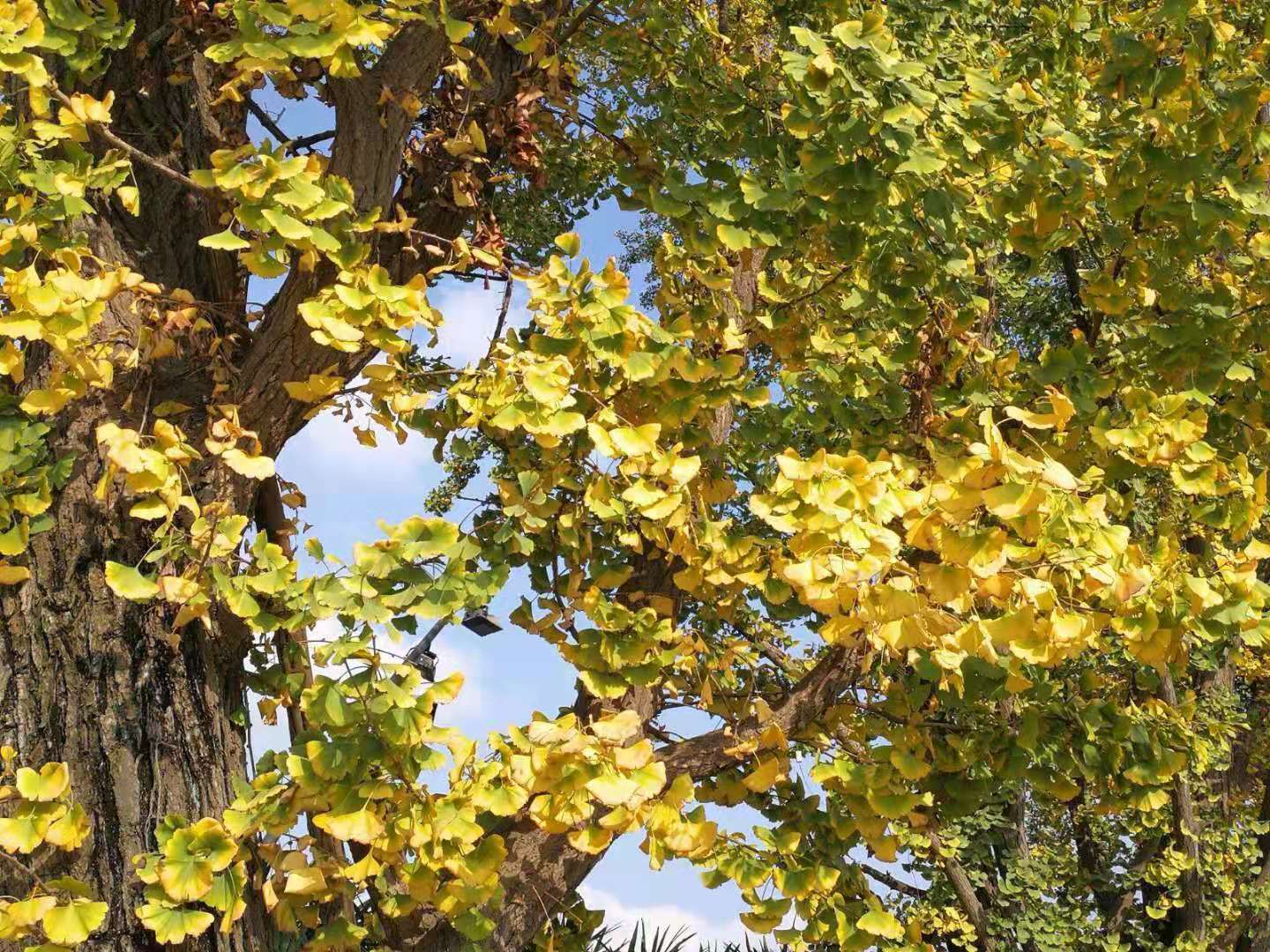 dbe8eb4bebfe2f0c2c70cde78915fef dbe8eb4bebfe2f0c2c70cde78915fef.jpg