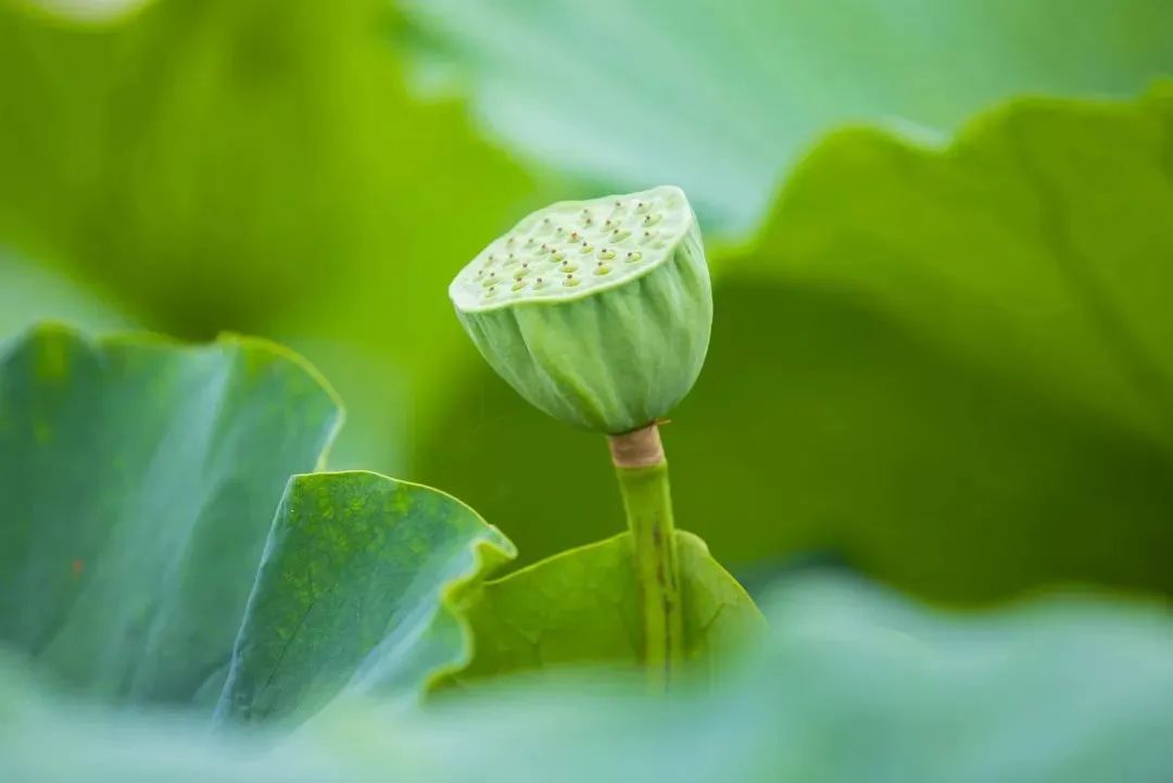 ecd5c3514cc2c339bb2ba6af62ce4404 ecd5c3514cc2c339bb2ba6af62ce4404.jpg