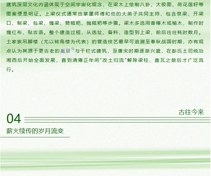 image.png?v=1787523514407