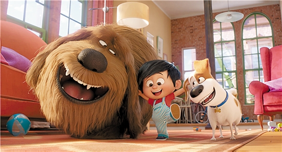 2019071419044046767 2019071419044046767.jpg?v=1762762367285