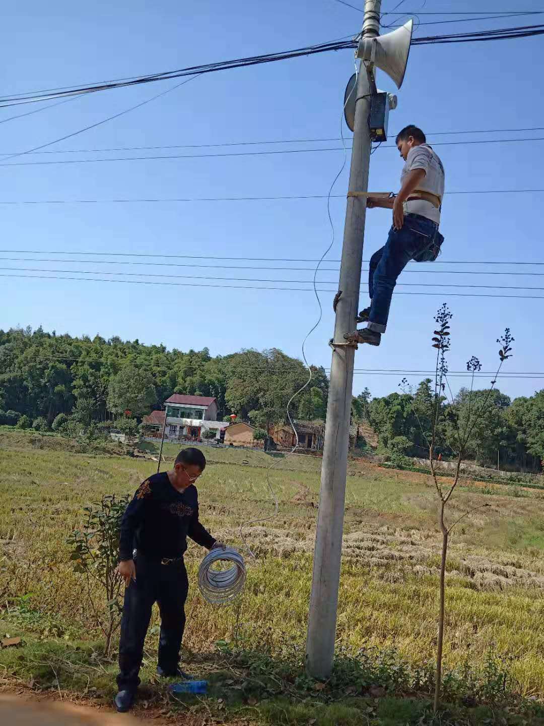 3333333.jpg