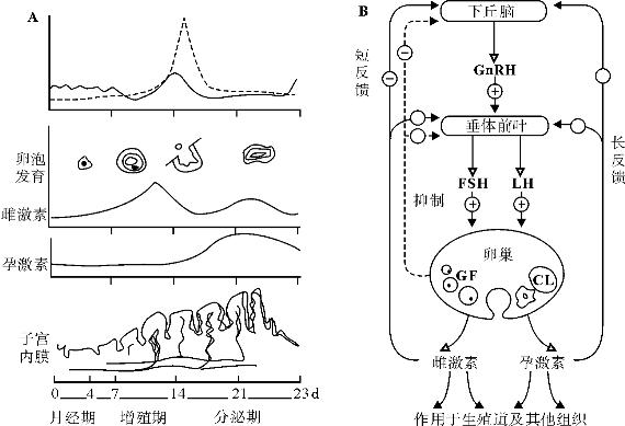 pagenumber_ebook=199,pagenumber_book=199