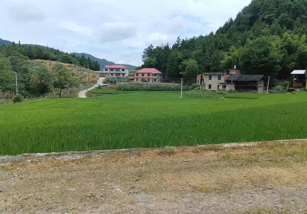 图片34 图片34.png