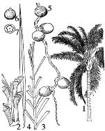 pagenumber_ebook=120,pagenumber_book=120