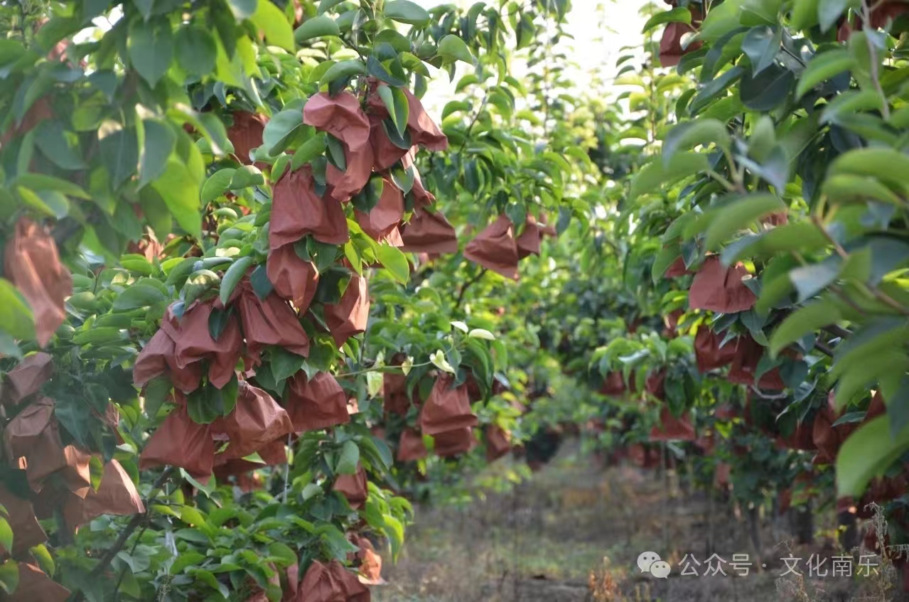 微信图片_20241010153630 微信图片_20241010153630.jpg