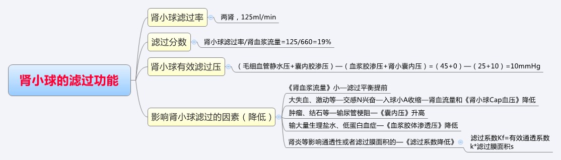 肾小球滤过功能.jpg