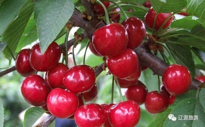 640.webp (15) 640.webp (15)