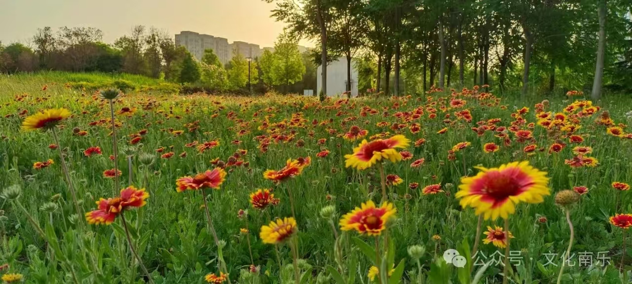 微信图片_20241016085443 微信图片_20241016085443.jpg