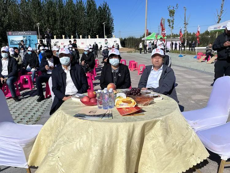 5 5.png?v=1763325746280