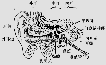 pagenumber_ebook=44,pagenumber_book=31