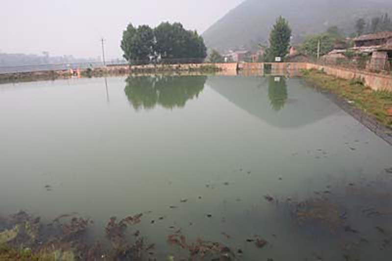 20101125155745364 20101125155745364.jpg