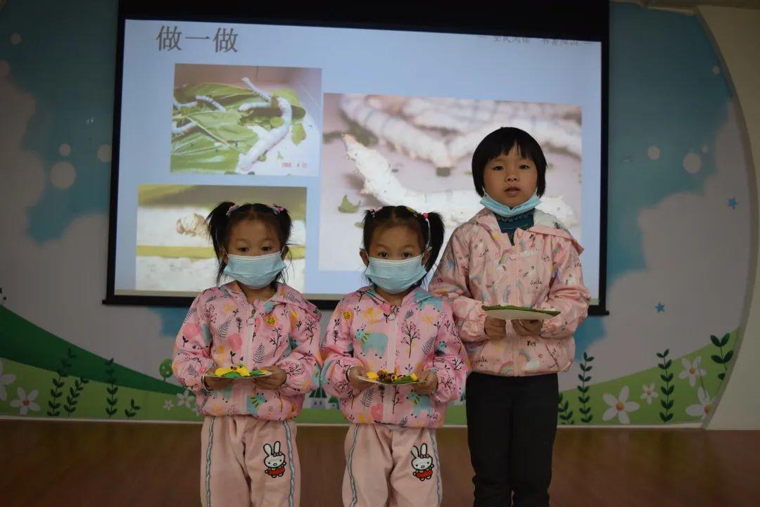 图片8 图片8.jpg?v=1772887660723