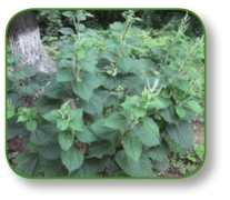 pagenumber_ebook=166,pagenumber_book=153