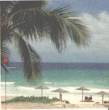 pagenumber_ebook=223,pagenumber_book=215