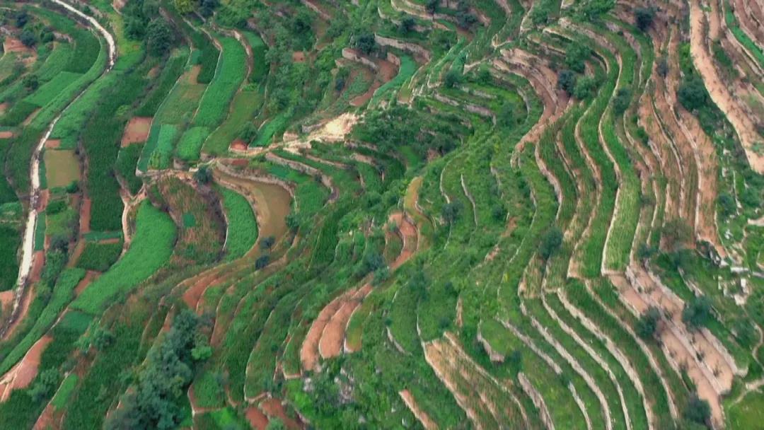 微信图片_20211102113019