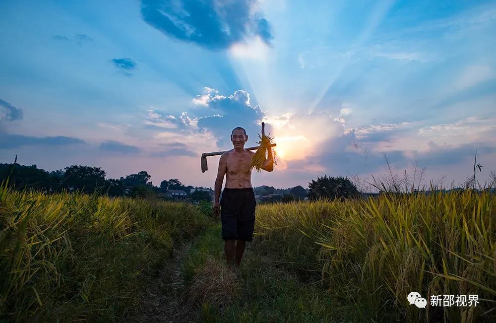 微信图片_20201207235221 微信图片_20201207235221.jpg