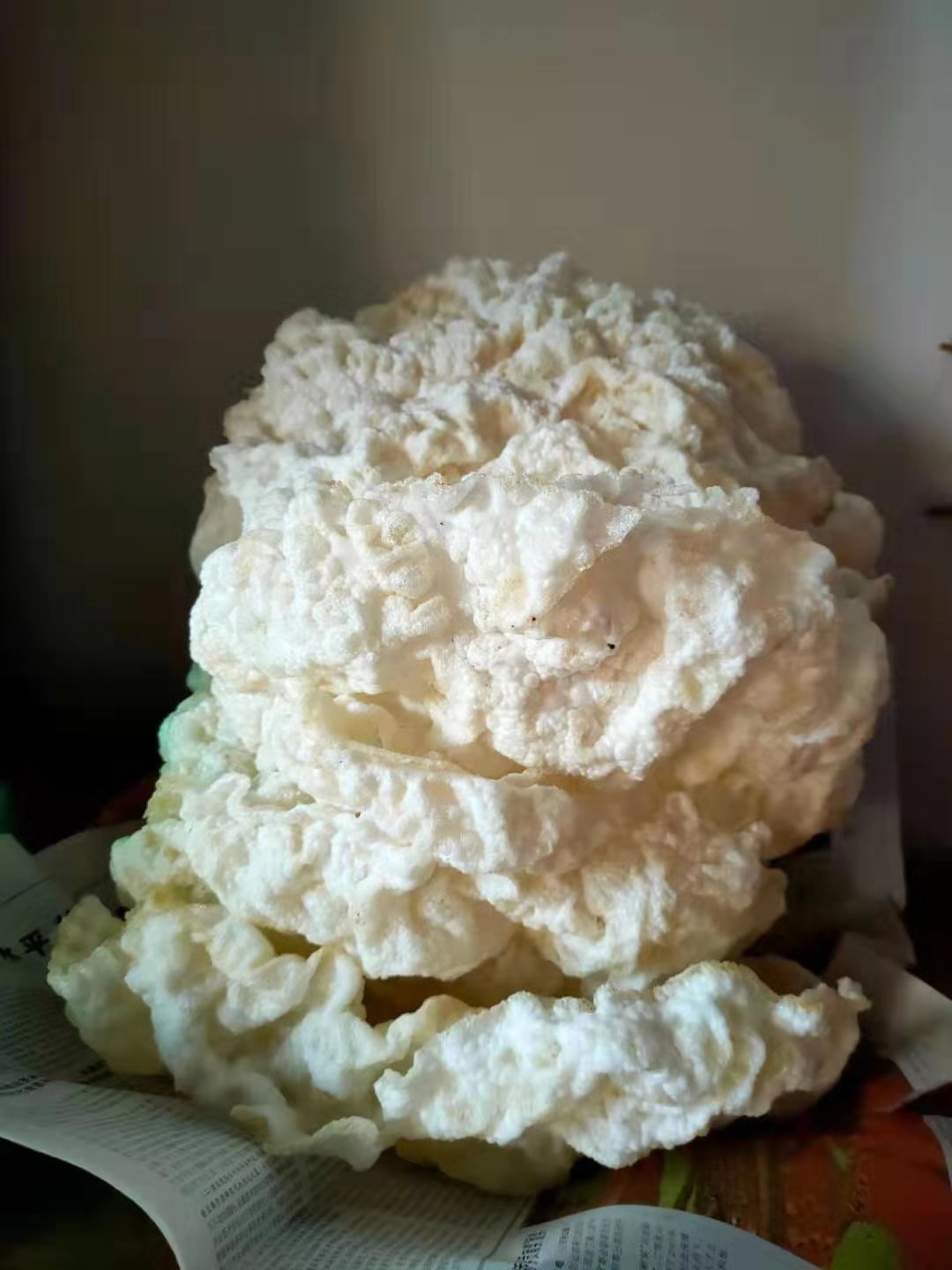 微信图片_202102161033348