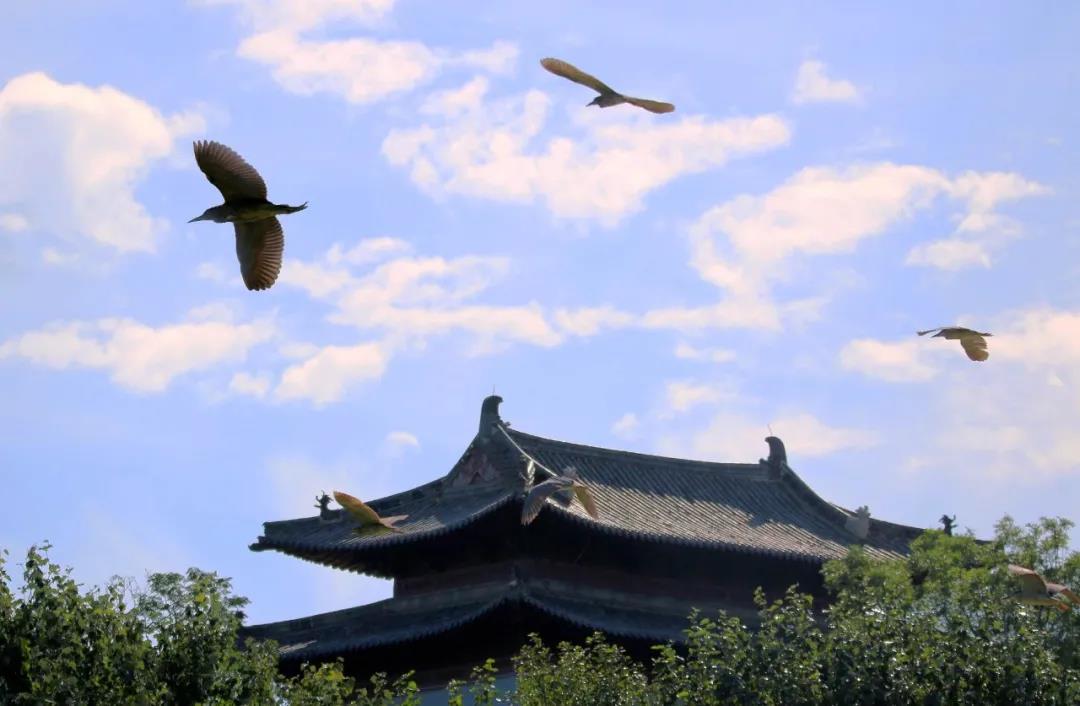 微信图片_20210312100620 微信图片_20210312100620.jpg