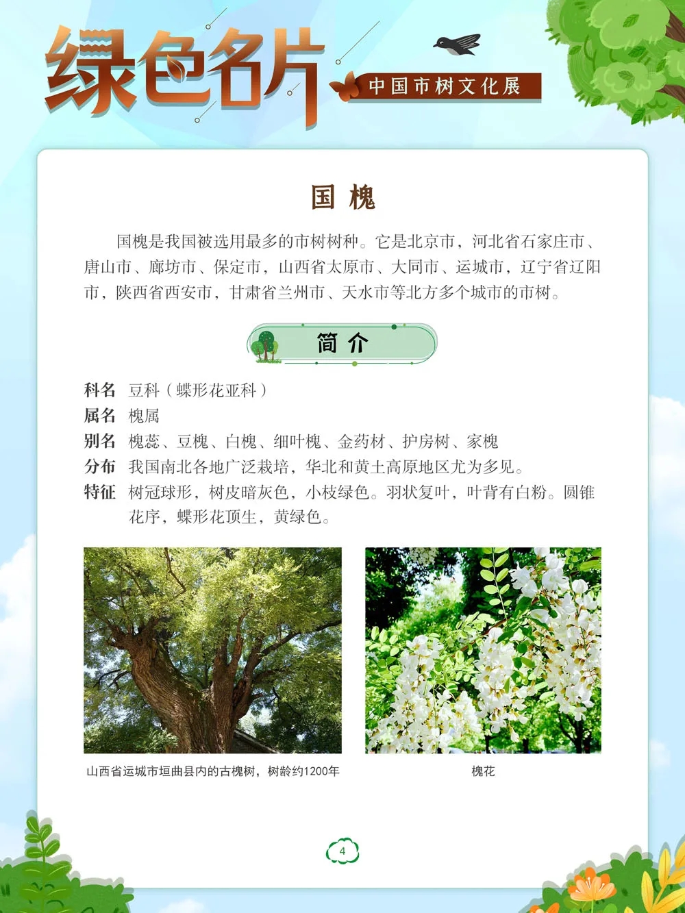 04.webp 04.webp.jpg?v=1762809709749